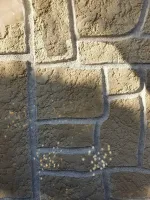 Pose d'un crépis sur l'ensemble de la maison chez un particulier près de Troyes (7)
