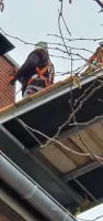 Réfection d'une cheminée classée au cœur du bouchon de Champagne de Troyes (1)